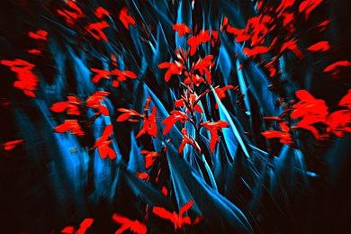 《北欧女神 极乐世界》最新宣传片泄露 9月29日发售