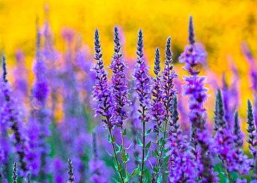 《潜行者2》世界及地点实机 11月20日发售